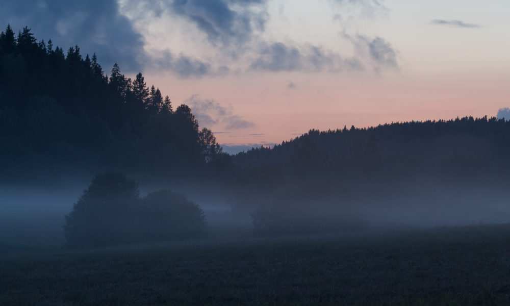 Luonnon päivä